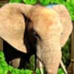 大象争霸战v1.1